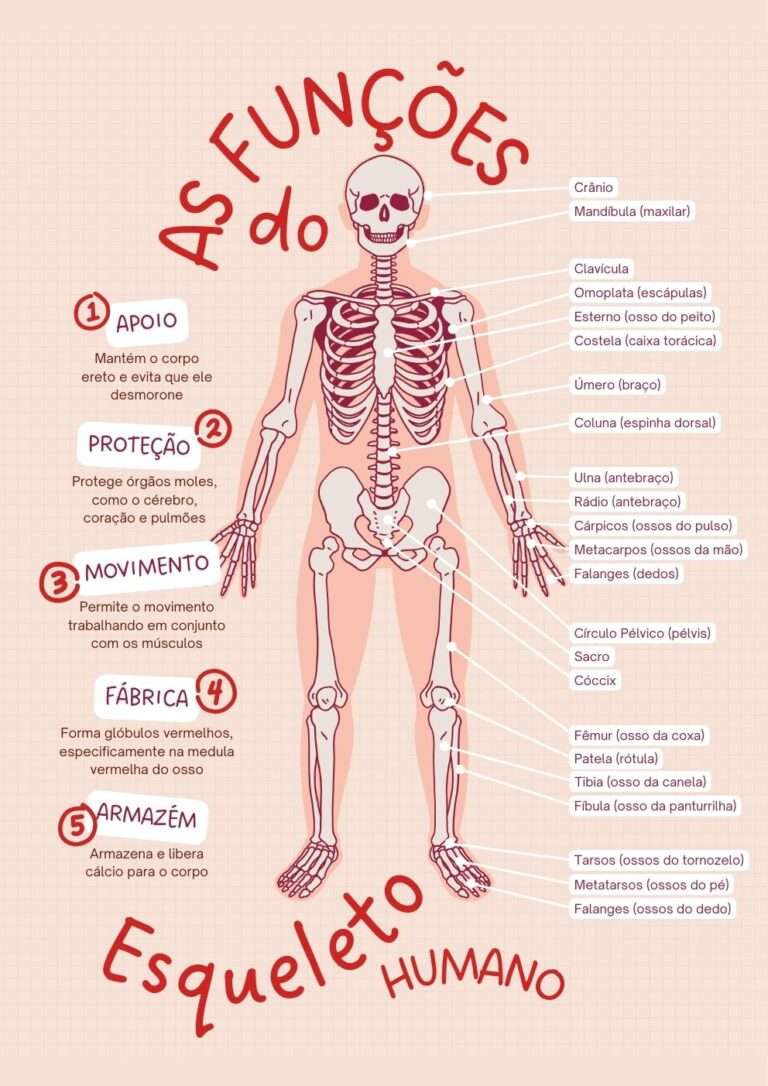 Cartaz Educacional Retrato Ilustração Flat Vermelho Laranja-claro