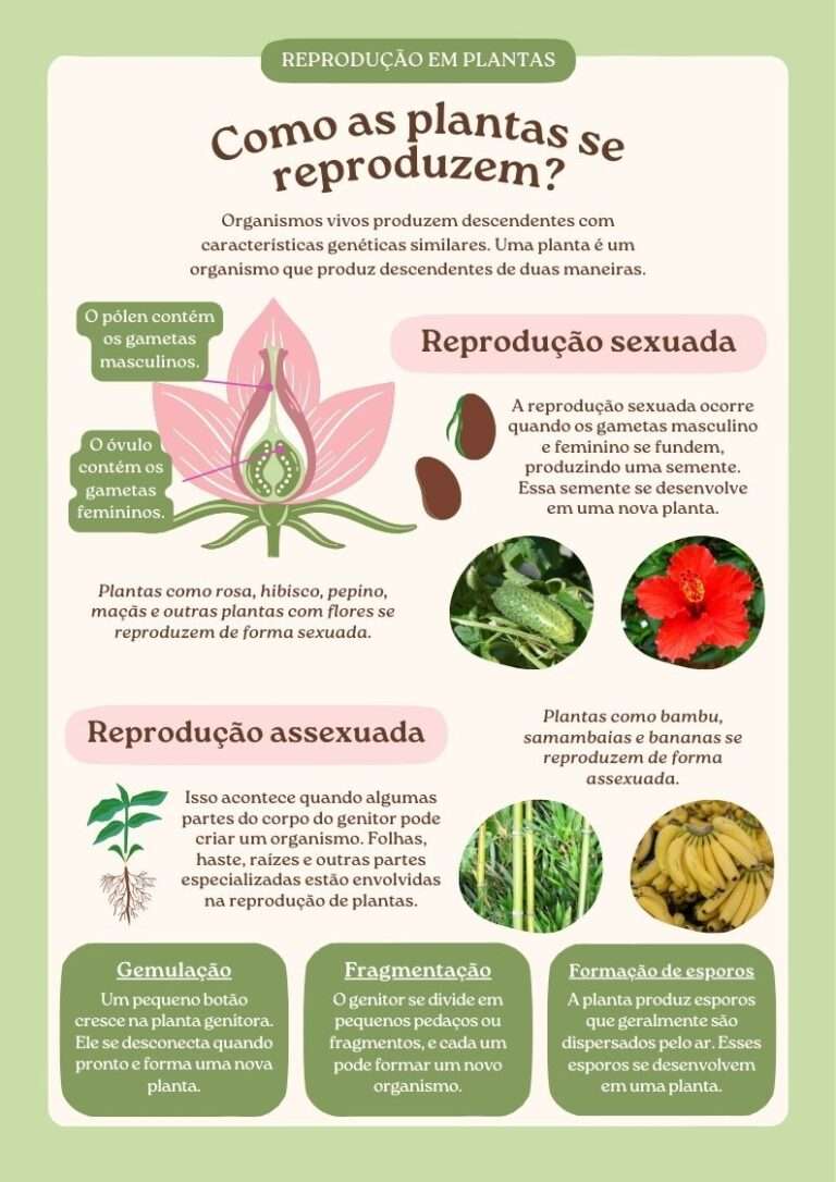 Cartaz de Ciências Como as Plantas se Reproduzem Estilo Desenhado à Mão em Verde-pastel Creme