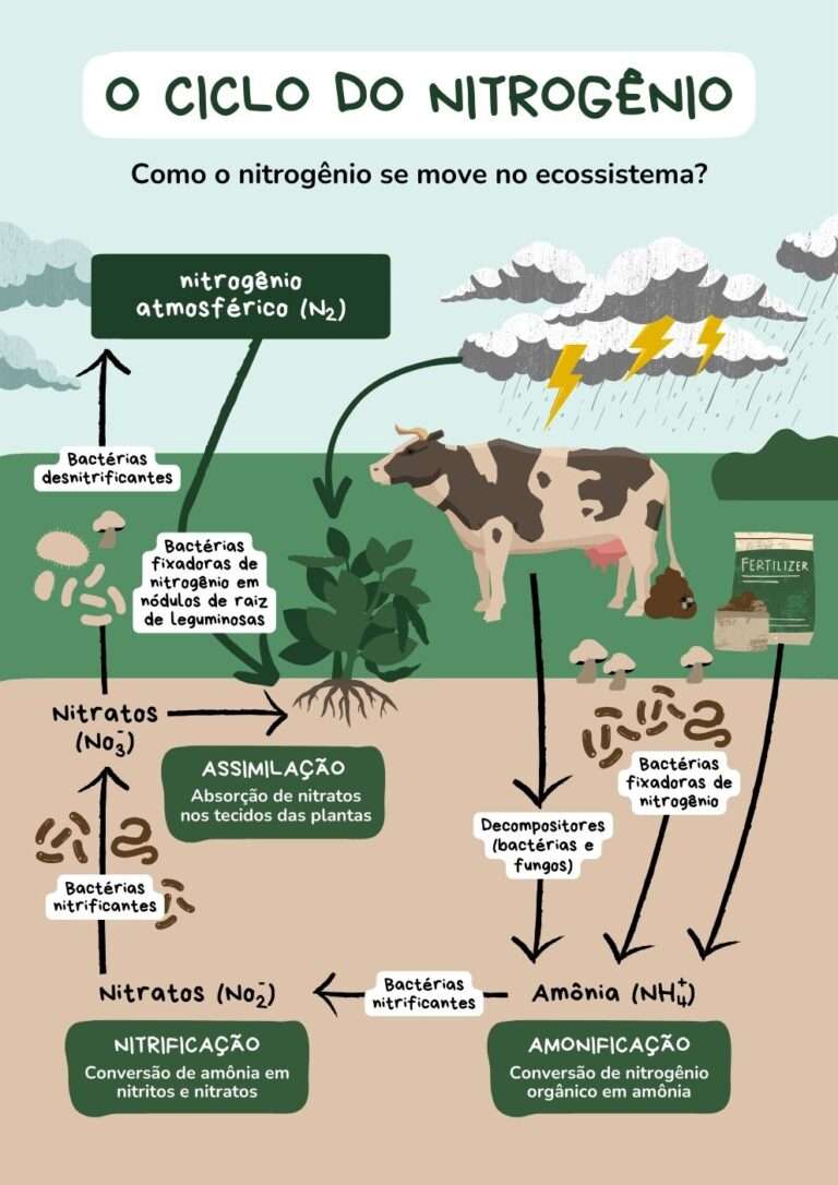 Cartaz de ciência do ciclo do nitrogênio com estilo gráfico plano, em verde e marrom